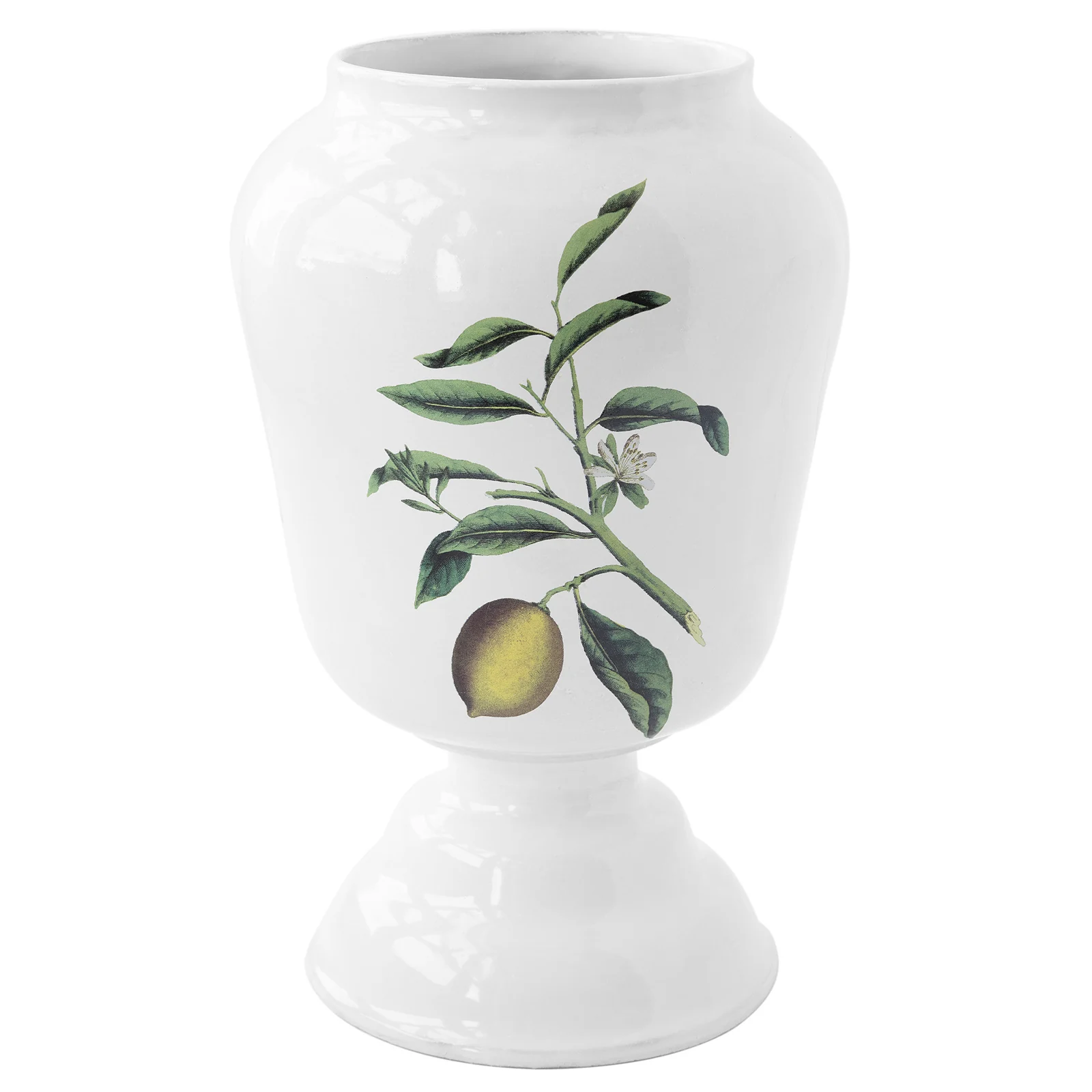 Astier de Villatte 白瓷柠檬花瓶官方产品视觉